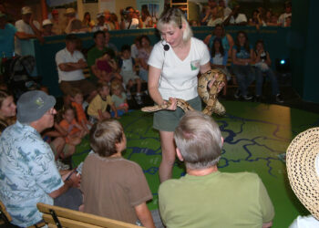 Joy Marzolf and Reptile