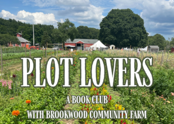 Plot Lovers Graphic