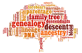 Genealogy Tree Graphic