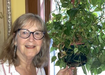 Laurie Stillman, the Self-Taught Plant Mom