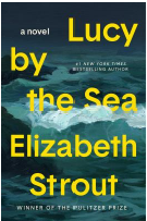 book cover Lucy by the Sea